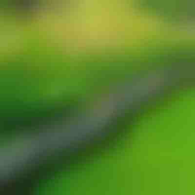 Bordură de grădină cu aspect de piatră (10 buc.) | MINIFENCE