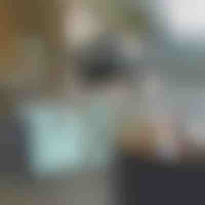 Cărucior multifuncțional | CARRYMAX