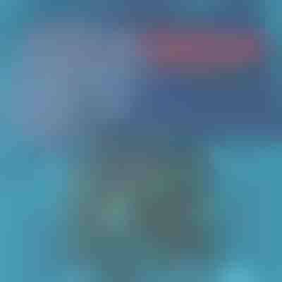 Pantaloni scurți de baie cu uscare rapidă | TOGGIES