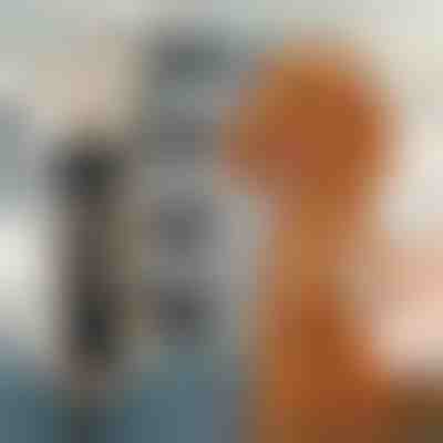 Mașină de tuns pentru animale de companie | GULAMACHINE