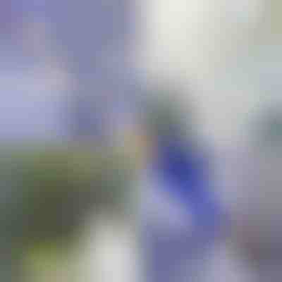 Accesoriu pentru curățare cu presiune înaltă | WATERJET